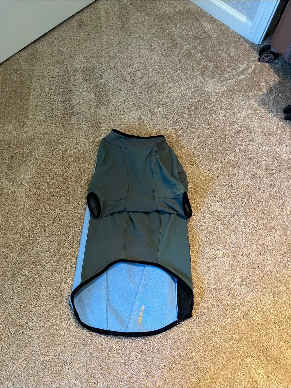 RuffWear Light Blue Dog Coat with Black Trim